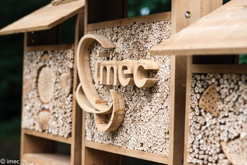 IMEC-image-800
